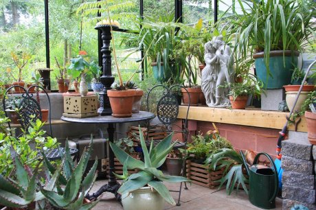 Зимний сад в частном доме: как сделать зимний сад своими руками - блог Holz House